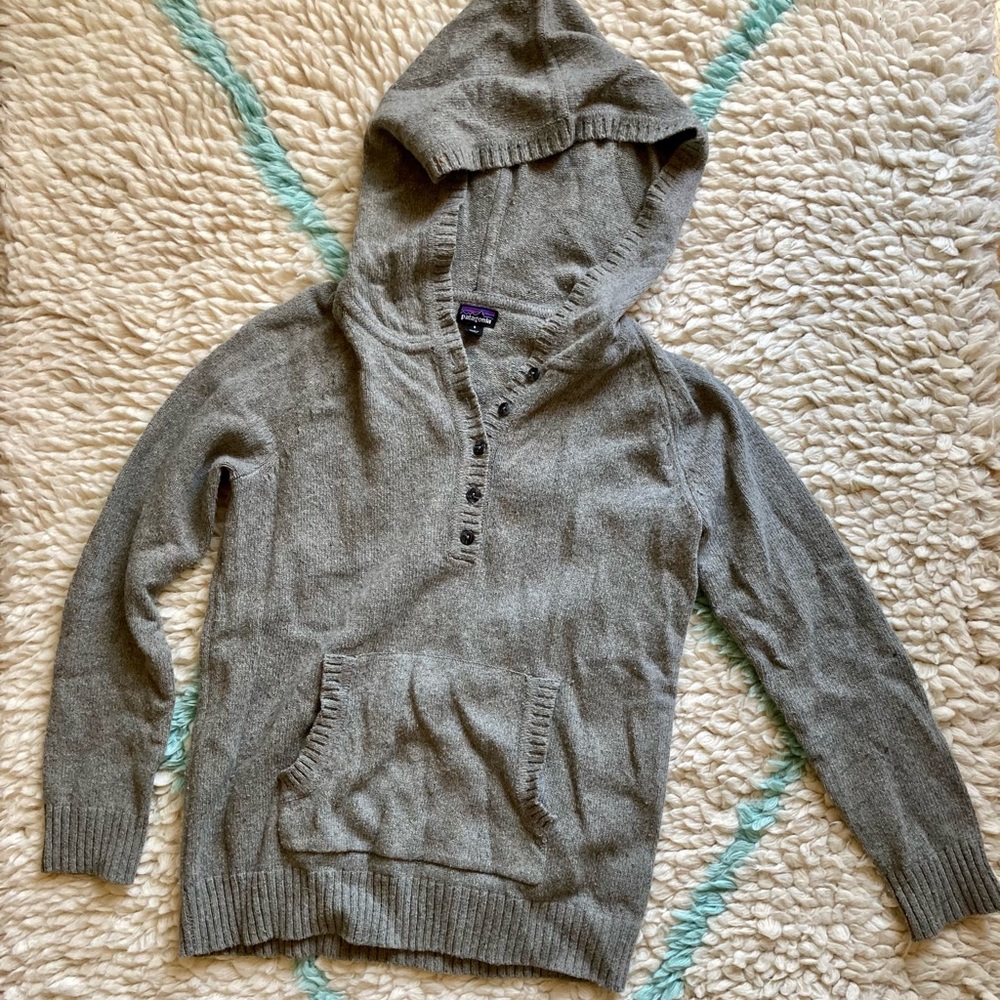 Patagonia Hooded Sweater